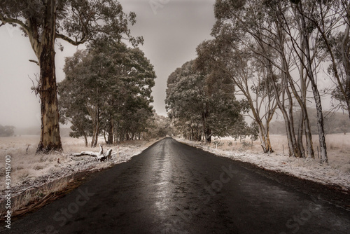 Australian country backroad in snow storm