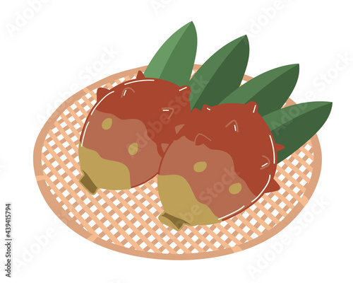 ホヤ　ざる　線無し