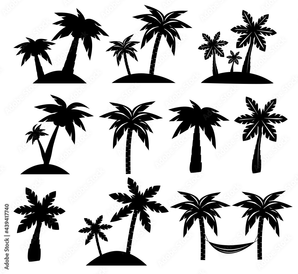 Palm trees black silhouettes on white background. Vector