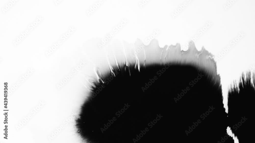 Isolated abstract artistic ink splatters, droplets spreading. Ink matte, splash transition reveals. Ink bleed, bloom, drips. Spilling black paint on white background, watercolor swirls. Spraying paint