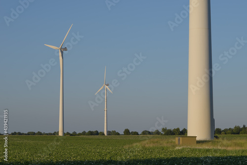 wind turbine in the field