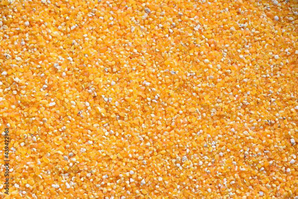 Broken dried corn cereal grain Broken dried corn cereal grain