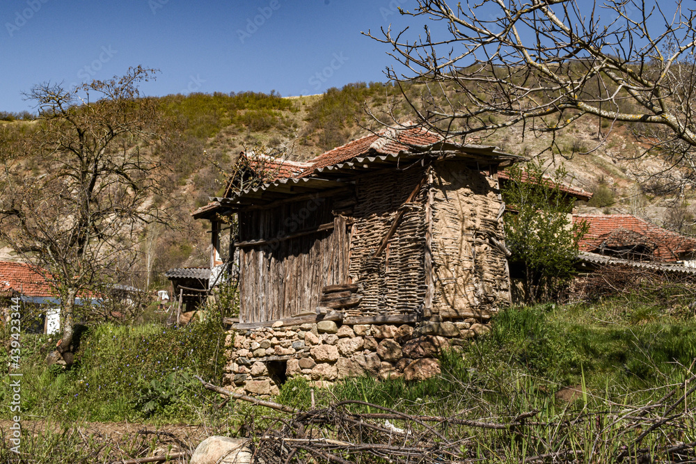 old house in the woods