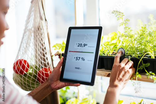 Crop black woman checking temperature and humidity on plants