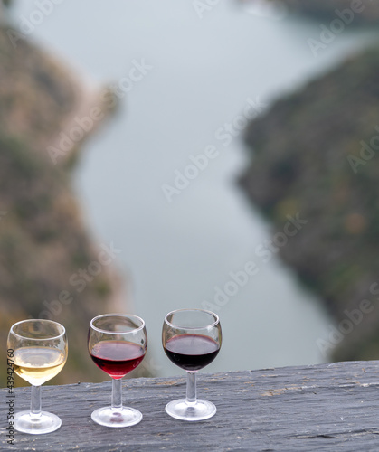 Tasting of Portuguese fortified port wine, produced in Douro Valley with Douro river and colorful terraced vineyards on background in autumn, Portugal