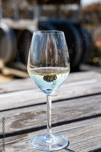 Wine production in Netherlands, white wine tasting glass close up