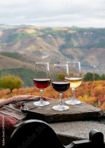 Quadro su tela Tasting of Portuguese fortified port wine, produced in Douro Valley with colorfu