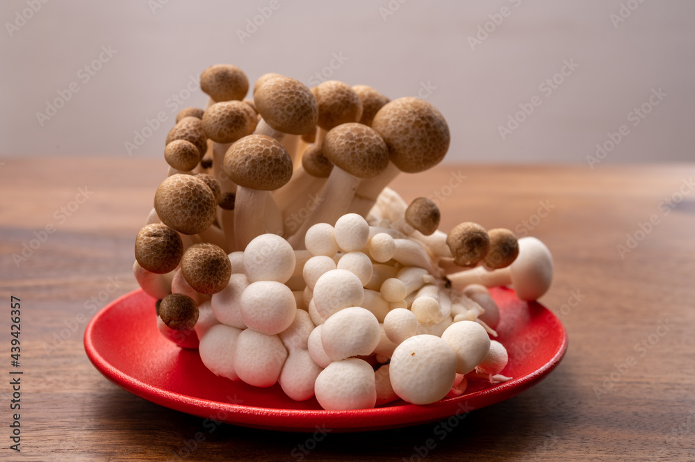 Shimeji edible mushrooms native to East Asia, buna-shimeji is widely cultivated and rich in umami tasting compounds Shimeji edible mushrooms native to East Asia, buna-shimeji is widely cultivated and rich in umami tasting compounds