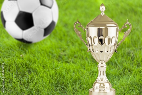 Obraz na płótnie Uefa.