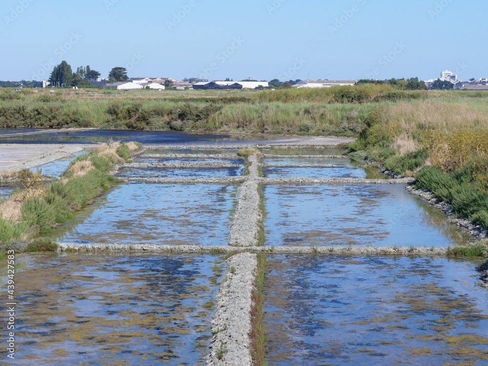 The landscape in the salt marshes in Guerande. June 2021, France.