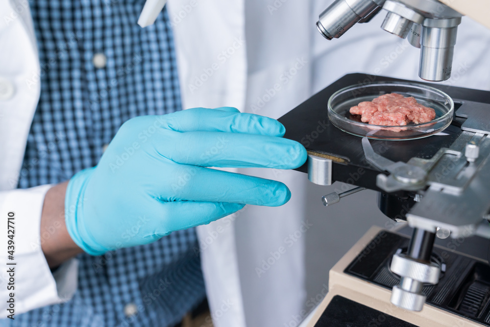 Scientist Analysing Meat Sample Using Microscope Stock Photo Adobe Stock