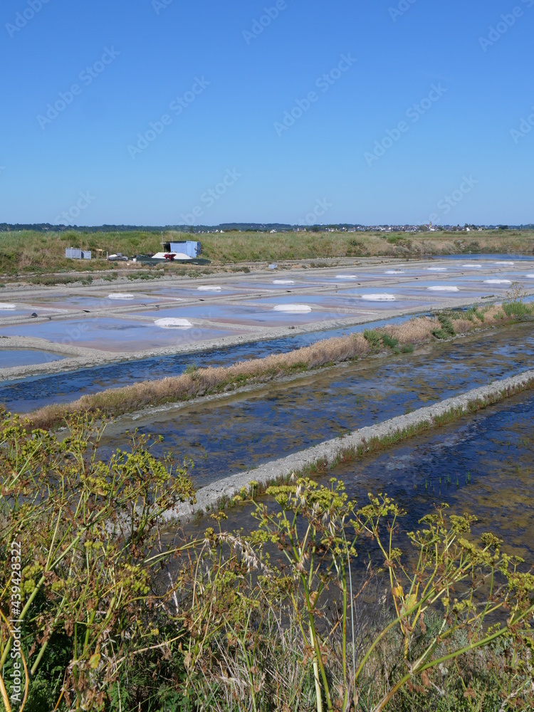 The landscape in the salt marshes in Guerande. June 2021, France. The landscape in the salt marshes in Guerande. June 2021, France.