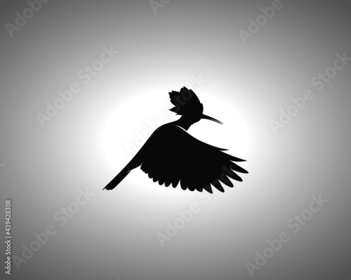 Hoopoe Silhouette. Isolated Vector Animal Template for Logo Company, Icon, Symbol etc photo