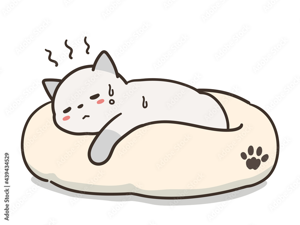 体調不良の猫 ペットベッド 体調不良の猫 ペットベッド