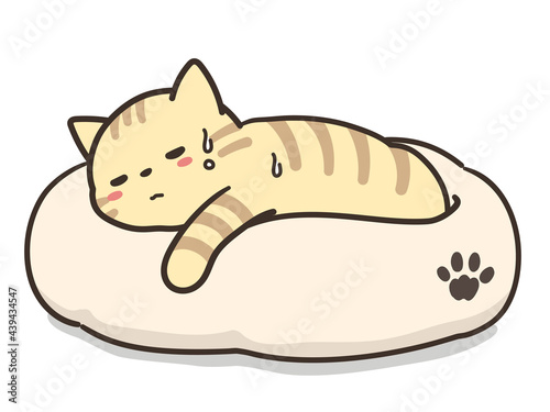 体調不良のトラ猫　ペットベッド