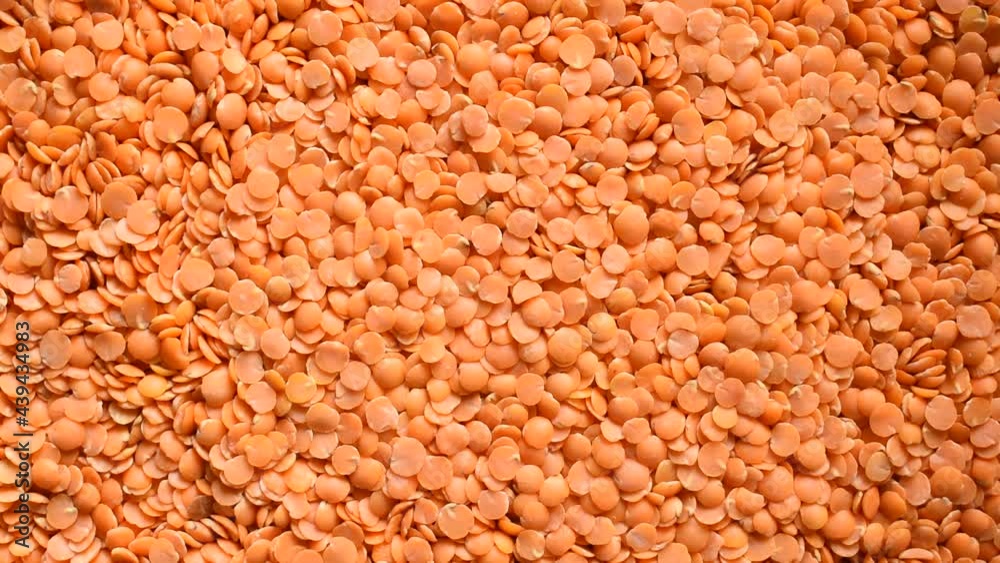 Raw split dried red Masoor lentils Raw split dried red Masoor lentils