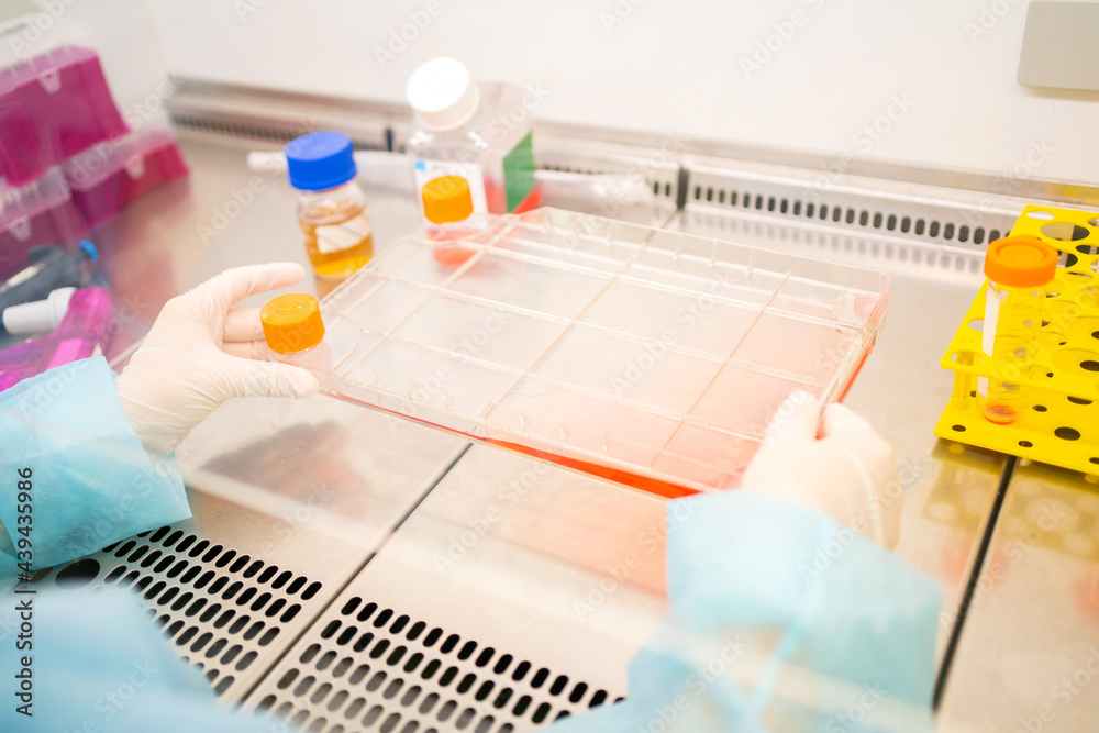 Science Research In A Lab Science Research In A Lab