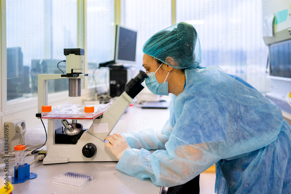 Science Research In A Lab Science Research In A Lab
