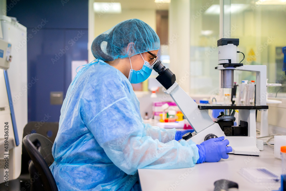 Science Research In A Lab Science Research In A Lab