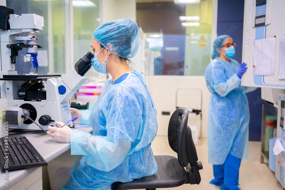 Science Research In A Laboratory. Science Research In A Laboratory.
