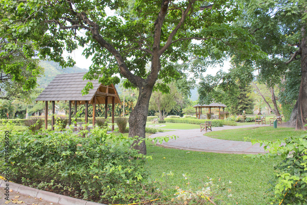 Beautiful landscape scenery and pond