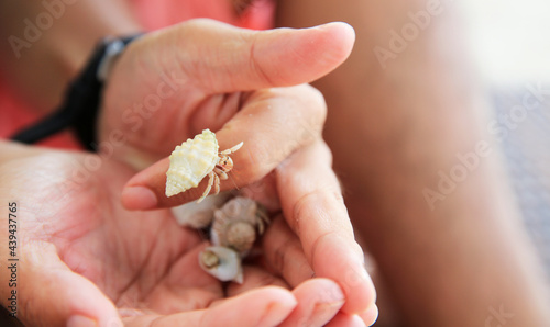 A man is playing with a hermit crab with his hands.