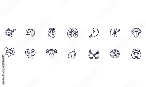  Editable Icons Concepts. Brain, Heart, Kidnet vector design 