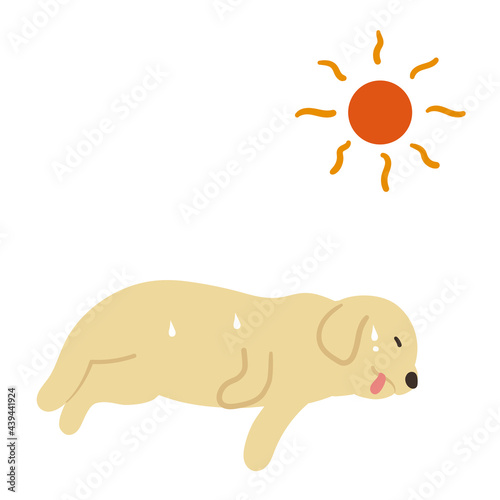 体調不良の犬と太陽　熱中症