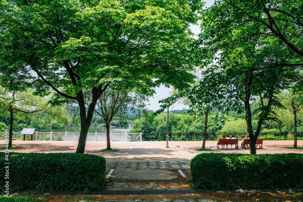 Summer of Incheon Grand Park in Korea