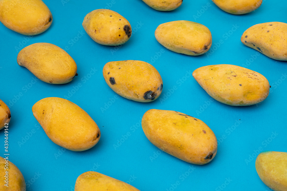 Mango manila maduro acomodado en patrones sobre un fondo color azul. Mango manila maduro acomodado en patrones sobre un fondo color azul.