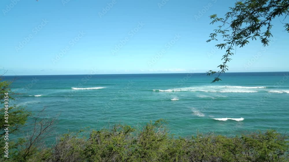 Prosopis pallida is a species of mesquite tree. kiawe. huarango. American carob. Kuilei Cliffs Beach Park, Honolulu, Oahu, Hawaii
Prosopis pallida is a species of mesquite tree. kiawe. huarango. American carob. Kuilei Cliffs Beach Park, Honolulu, Oahu, Hawaii