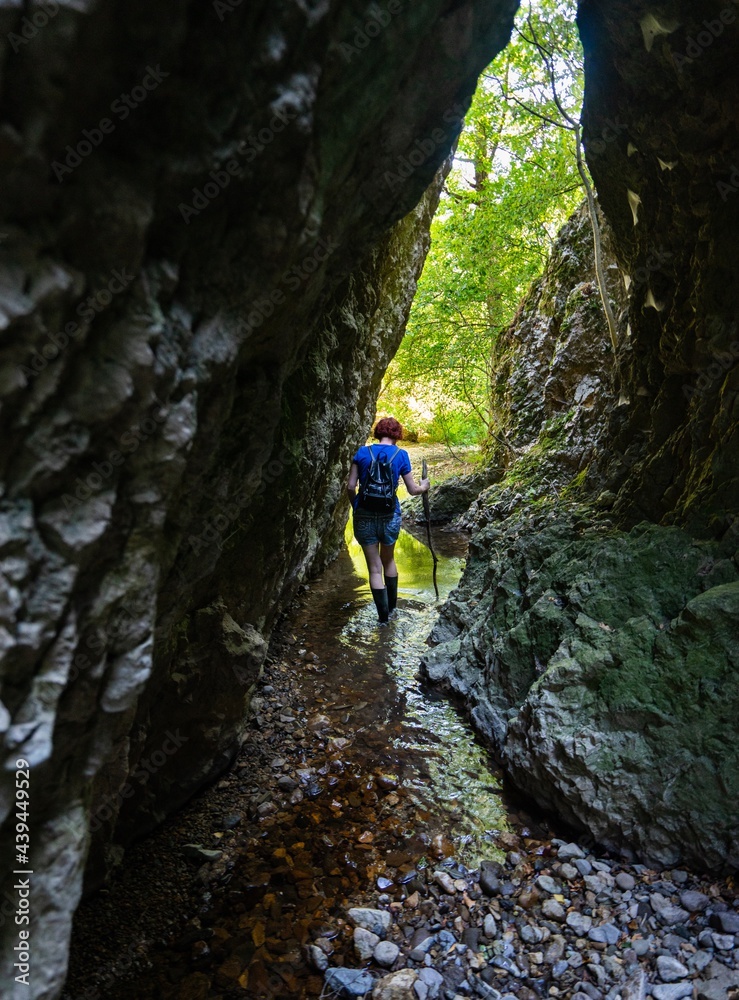 Hiker Hiker