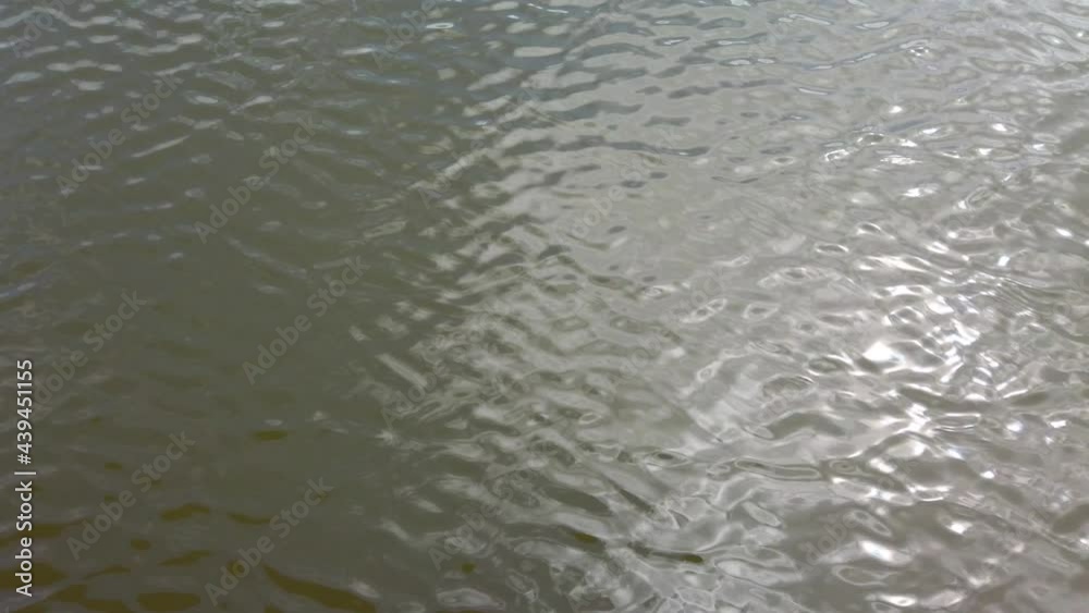 Ripples in the water. Reflection of the sun rays. Ripples in the water. Reflection of the sun rays.