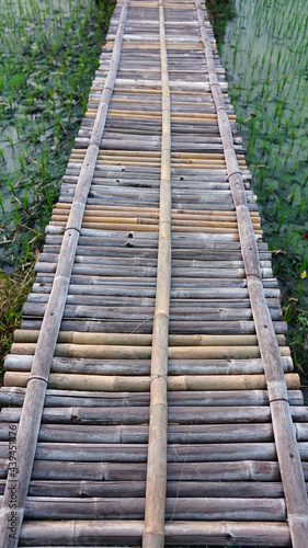 Bamboo bridge in the middle of rice fields. Focus selected