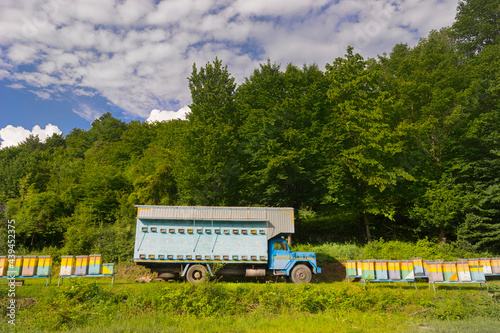 Honey Bee Truck