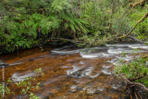 Surprise River