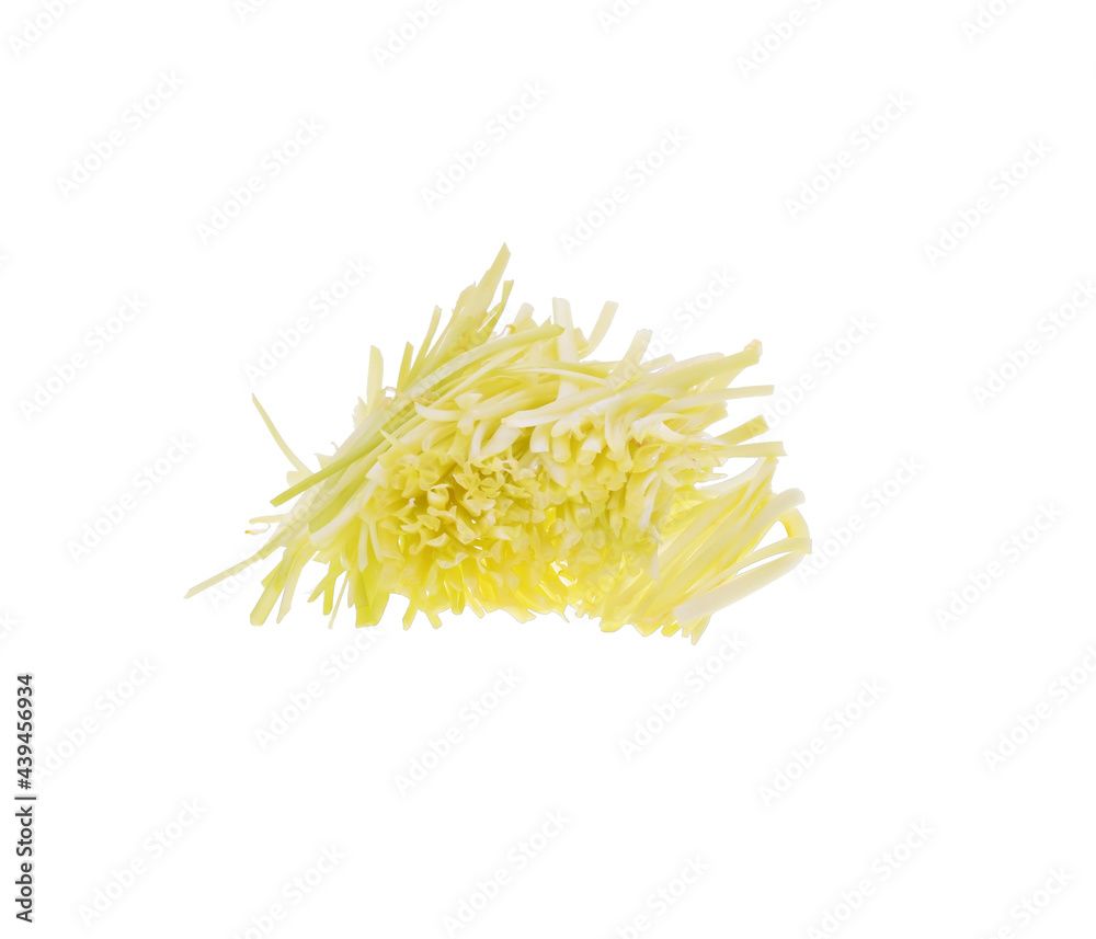 garlic chives isoalted on white background garlic chives isoalted on white background