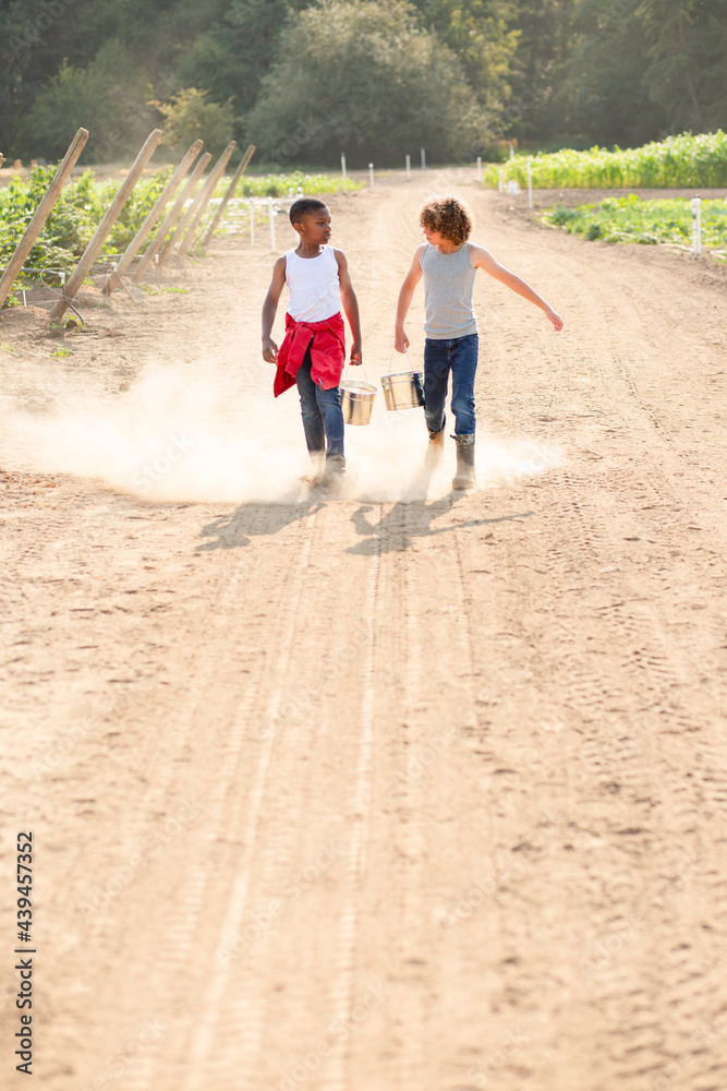 Two brothers walk down dusty farm road Two brothers walk down dusty farm road