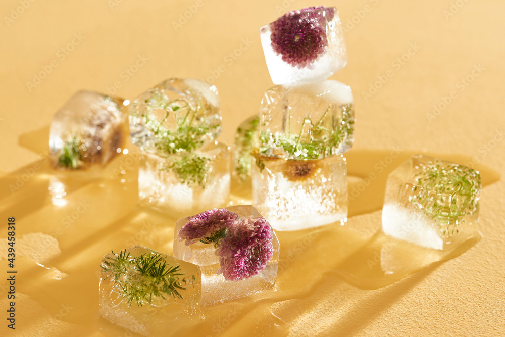 Flowers trapped in a block of ice. Flowers trapped in a block of ice.