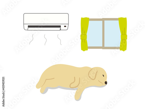 エアコンが付いた部屋で寝ている犬　熱中症対策
