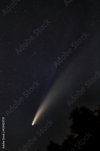 Comet NEOWISE (C/2020 F3) photo