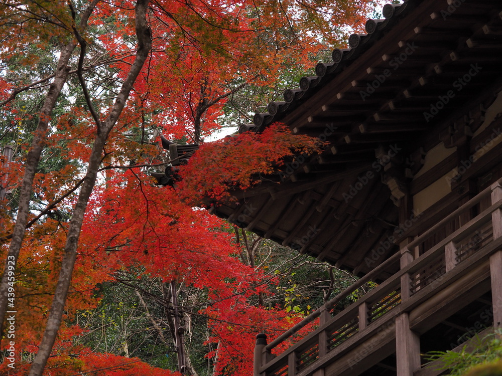 紅葉がある京都のお寺