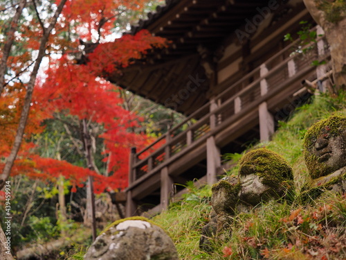 紅葉がある京都のお寺
