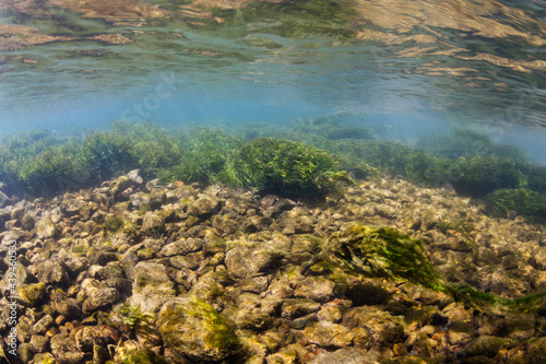 Whitewater Mountain River Underwater Habitat photo