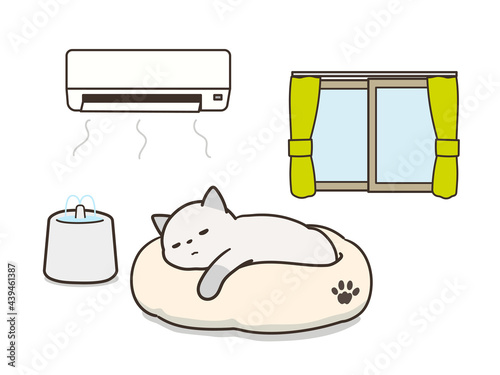 エアコンの付いた部屋で仰向けで寝ている猫　熱中症対策　給水器