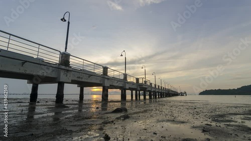 Timelapse sea creature move at coastal in sunrise morning at Pulau Jerejak Jetty photo