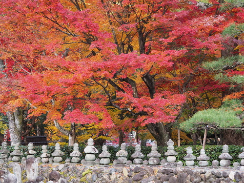 紅葉のあるお寺の境内