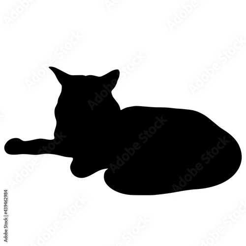 Black cat vector icon. The pet is lying. Hand-drawn black silhouette of an animal. Isolated illustration of a beast on a white background. Maine Coon outlines. Domestic cat.