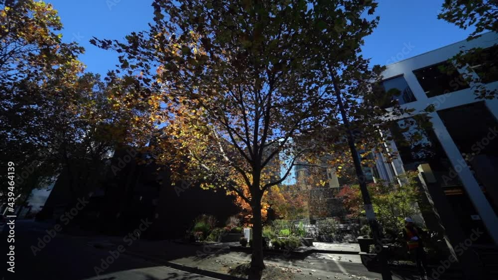 Building exterior surrounded by trees and park, orbiting left shot Building exterior surrounded by trees and park, orbiting left shot