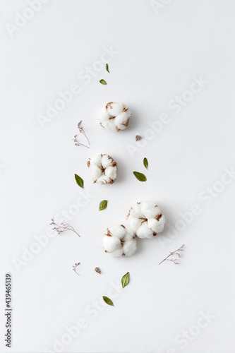 Dried cotton flowers composition photo